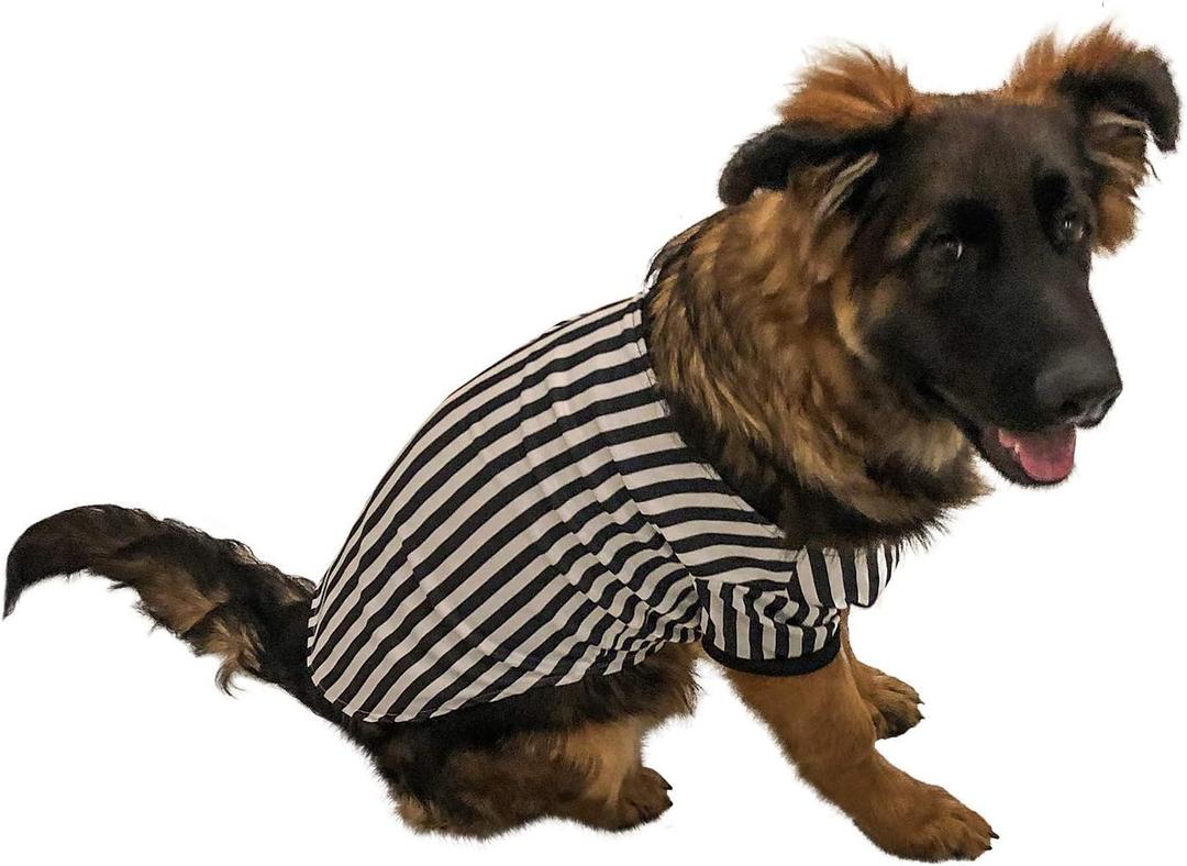 Midlee Referee Dog Halloween Costume (Large)