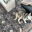 YOUFORTONG Washable 8x10 Area Rugs: Rugs for Living Room Ultra Soft Carpet for Bedroom Waterproof Rug Non Slip Rugs for Hardwood Floors (Black, 8x10)