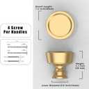 10 Pack Champagne Bronze Cabinet Knobs 1-1/5 Inch(30mm) Single Hole Cabinet Pulls Round Kitchen Cabinet Knobs