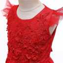 Girls Embroidery Flower Lace Long A Line Pageant Dress Floor Length Princess Prom Tulle Maxi Gown for Wedding Party Birthday (Red, S)