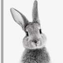 DakTenn Rabbit Wall Art Bunny Wall Art Bunny Decor Lovely Rabbit Posters for Rabbit Nursery Wall Art Framed Easter Artwork Home Decor Nursery Wall Decor for Bedroom Bathroom Bunny Poster Bunny Pictures 18x24 Inches