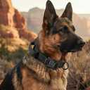Tactical Dog Collar for Medium Large Dogs, Military Grade Nylon K9 Collar with Control Handle, Heavy Duty Metal Buckle, AirTag Holder & Patches, Adjustable for Training Walking Hiking（L）