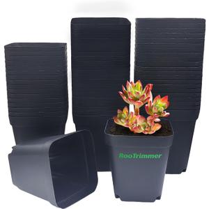 Square Nursery pots 4 Inches 60Pcs, Seedling Plastic Seeds propogation Growing Pots (Black,4Inches,60Pcs)