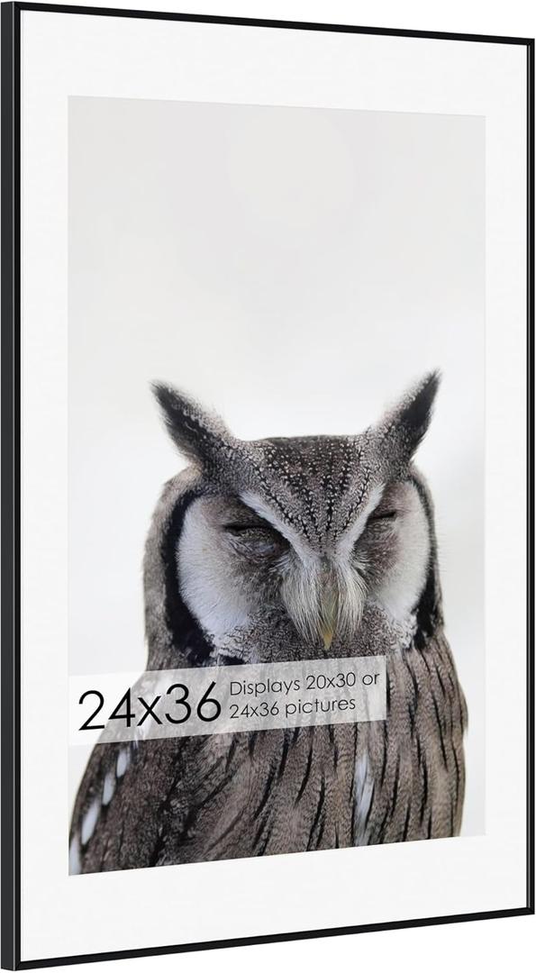 24x36 Metal Picture Frame with 20x30 Mat, Brushed Aluminum Finish, Tempered Glass Front, and Attached Hanging Hardware - Wall Display Frames for Vertical or Horizontal Orientation - Black (24x36 - 1P)