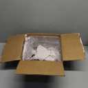 Acrylic Brochure Holder for Wall Mounting, Clear Display for 8.5" x 11" Flyers, Literature Holder for Magazines, Pamphlets, Menus, Includes Screws & Plastic Anchors  Pack of 2