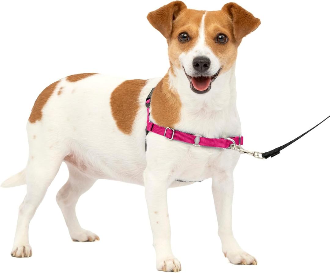 PetSafe Easy Walk No-Pull Dog Harness - The Ultimate Harness to Help Stop Pulling - Take Control & Teach Better Leash Manners - Helps Prevent Pets Pulling on Walks, Small, Raspberry/Gray