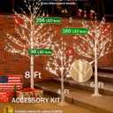 3ft Lighted Birch Tree with 64 Warm White LED Lights