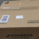 Progress Lighting P3712-09 Inspire Two-Light Semi-Flush, Brushed Nickel (Semi-Flush Mount - 13x13x 10.125 in)