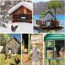 1080P HD Camera Solar Automatic Chicken Coop Door, 5000 mAh Large Battery, Support WiFi, APP Remote Viewing and Control, Timer, Alarm Driver Function, Easy to Install and Use
