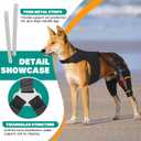 Dog Knee Brace Double Leg Support with Vest - Orthopedic Joint Stabilizer for ACL Tear, Arthritis, Patella Recovery - Adjustable Non-Slip Recovery Brace for Small Middle Large Dogs (XXL)
