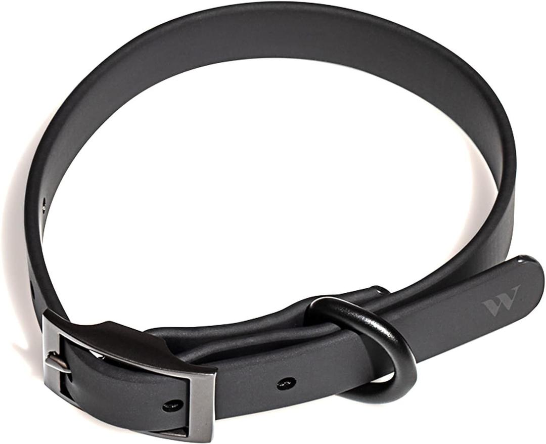Wild One Dog Collar, Easy-Clean, All Weather Flex-Poly Strap with Metal, Durable, Dirt and Odor Resistant (Black, M)