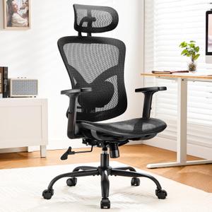 Marsail Ergonomic Mesh Office Chair,Ergonomic Desk Chair with 2D Headrest,Adjustable Lumbar Support & Up and Down Armrest (Ebony)