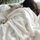 Bedsur Fleece Blankets Queen Size for Bed - GentleSoft Warm, Cozy, Soft & Thick Blanket for Winter, Heavy 500Gsm Anti-Static Design, Ideal for Couch & Sofa, Cream, 90x90 Inch