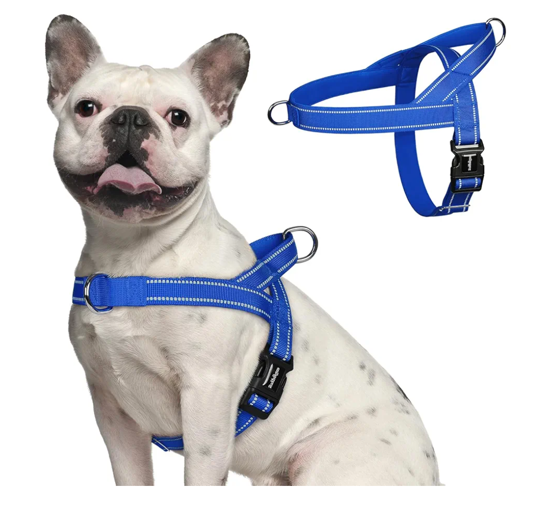 rabbitgoo Dog Harness No Pull, Quick Fit for Medium Sized Dog with Soft Padded Handle, Chest Adjustable Reflective Pet Vest, No Choke Escape Proof for Walking Training, Blue Small 