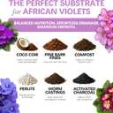 Premium African Violet Soil  Organic, Nutrient-Rich Potting Mix for Saintpaulia  Promotes Strong Roots, Consistent Moisture & Vibrant Blooms  Fast-Draining & Ready to Use (4 QTS)