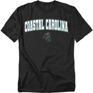 Official Collegiate Arch Logo Unisex Adult T Shirt Collection 3 (Black, L)