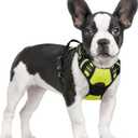 rabbitgoo Dog Harness No Pull with 2 Leash Clips, Adjustable Soft Padded, Reflective Oxford No Choke Pet Vest with Easy Control Handle for Small Dogs, Wild Lime,S