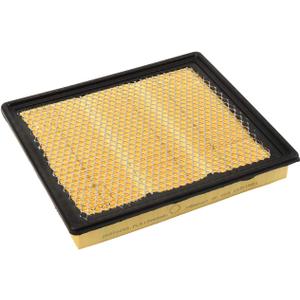 ACDelco GM Original Equipment A3175C Air Filter