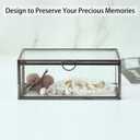 HighFree Vintage Glass Box with Lid - Clear Jewelry Glass Display Box Keepsake Box - Home Decor Decorative Box for Trinket Rings Bracelet (Black, Small)
