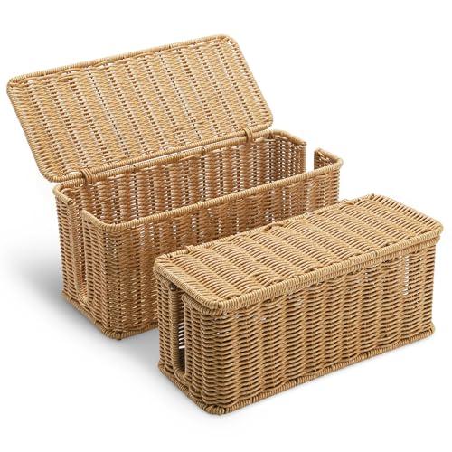 2Pack Large Cable Management Box, Handwoven Imitation Rattan Cord Organizer Cord Hider Box, Cable Organizer Box for Desk, Cord Management Box to Hide Cords and Power Strips