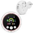Combined Smoke, Combustible Gas And Carbon Monoxide Alarm
