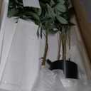 Ferrgoal Artificial Eucalyptus Tree,4Ft Tree Fake Plant in Pot for Home and Office Decor,Potted Faux Plants Tall Artificial Trees for Indoor, Outdoor