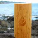 Eco Water Urn: Biodegradable Urn for Water Burial, Burial at Sea