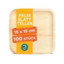 ECO SOUL 100 Count Square Palm Leaf Plates of 6 Inch - Disposable, Eco-Friendly, Biodegradable Bamboo Plates - Perfect for Parties, Catering, Weddings & Large Events