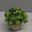 Artificial Plants in Ceramic Planter Cute Lysimachia Fake Succulent Flowers Potted for Home Office Table Desk Decor Living Room Bathroom Bedroom Shelves Decoration