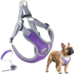 Dog Harness with Leash Set, Adjustable Step in Collars Harness with Breathable Padded Vest for Medium Dogs Training and Running (M, Purple)