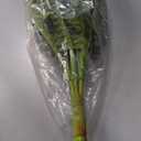 FOREST PRINCE 42" Artificial Boston Ferns, Bush Plants 2 Pack for Outdoors