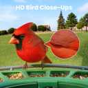 Birdfy 2 Smart Bird Feeder with Camera,Solar-Powered, Wireless Installation, Auto-Capture Bird Videos & Motion Detection, Gift Present