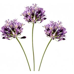 3 Pieces Large Artificial African Agapanthus,Long Stem Artificial Flowers for Tall Vase,Silk Plants for Home Decor Indoor, Silk Flowers for Wedding Bouquet Office Party Decor (Purple, 26")