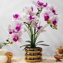 Artificial Orchids Flowers with Vase for Table Centerpieces, Real Touch Faux White Orchid Phalaenopsis in Ceramic Vase for Home Wedding Kitchen Decoration (Gold Vase, White Purple)