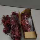 Sggvecsy 15 Pcs Baby's Breath Artificial Flowers Gypsophila Bouquets Bulk Real Touch Fake Silk Flowers for Home DIY Floral Arrangement Table Centerpiece Fall Thanksgiving Autumn Decoration (Burgundy)