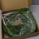 MIZII Christmas Garlands 6FT Thick Artificial Pine Garland Real Touch Green Faux Pines Vine Greenery Garland Christmas Decorations for Xmas Fireplace Mantle Home Decor Indoor Outdoor (Pine 6FT)