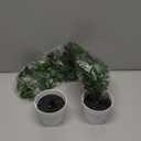 2 Pcs  Artificial Potted Tropical Plants  in White  Pots for Gifts Hawaiian Tropical Luau Party Table Shelf Office Indoor Outdoor Decor
