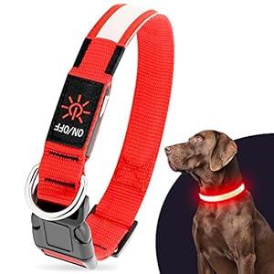 Illumifun Light Up Dog Collar for Small Dog, USB Rechargeable LED Dog Collar Glowing in The Dark, Safety Collar Light for Your Pups(Red, Small)