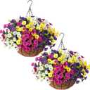 2 Set Artificial Fake Hanging Flowers Plants Baskets for Outdoors Spring Outside Decor , UV Resistant 24 Pcs Faux Silk Morning Glory with 2 Outdoor Hanging Planters Look Real for Porch Patio Balcony