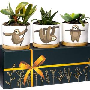 Discontinued Sloth Planters, Unique Decor & Gifts for Women and Men, Thoughtful Premium Quality Sloth Lover Plant Pot, Kitchen Decor, Perfect Planter Gift Set, Ideal Presents for Birthday, Christmas
