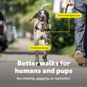 PetSafe Easy Walk Harness for Dogs - Pull-Free Walks - Patented Martingale Loop Design - Front Chest Leash Attachment - Comfort Straps - Breathable Harness Design - Medium/Large, Charcoal/Black