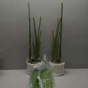 2Packs 4FT Artificial Bird of Paradise Plant,Faux Palm Tree Potted Plant with Real Touch Leaves,Fake Trees for Home Living Room Office Indoor Outdoor Decor(4 FT-2Packs)