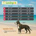 LovinPet Dog Recovery Suit - Medium Large - Professional Large Dog Recovery Suit Abdominal Wound Surgical Clothes Post-Operative Vest E-Collar Alternative Recovery,Hippo,Yellow,L