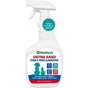 Stain & Strong Odor Eliminator, Enzyme Cleaner, Pet Odor Eliminator for Home - Carpet Stain Remover for Cats & Dog Pee - Urine Destroyer - Carpet Cleaner Spray Clear (Unscented)