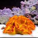Besimple Aquarium Coral Ornaments Decor Fish Tank Plants Decoration for Aquarium Landscape, Orange