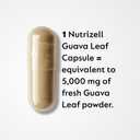 Guava Leaf Extract with Bitter Melon 1000mg Per Serving Herbal Guava Supplement for Metabolic Health & Digestion Support 120 Veg Capsules Non-GMO & Gluten-Free