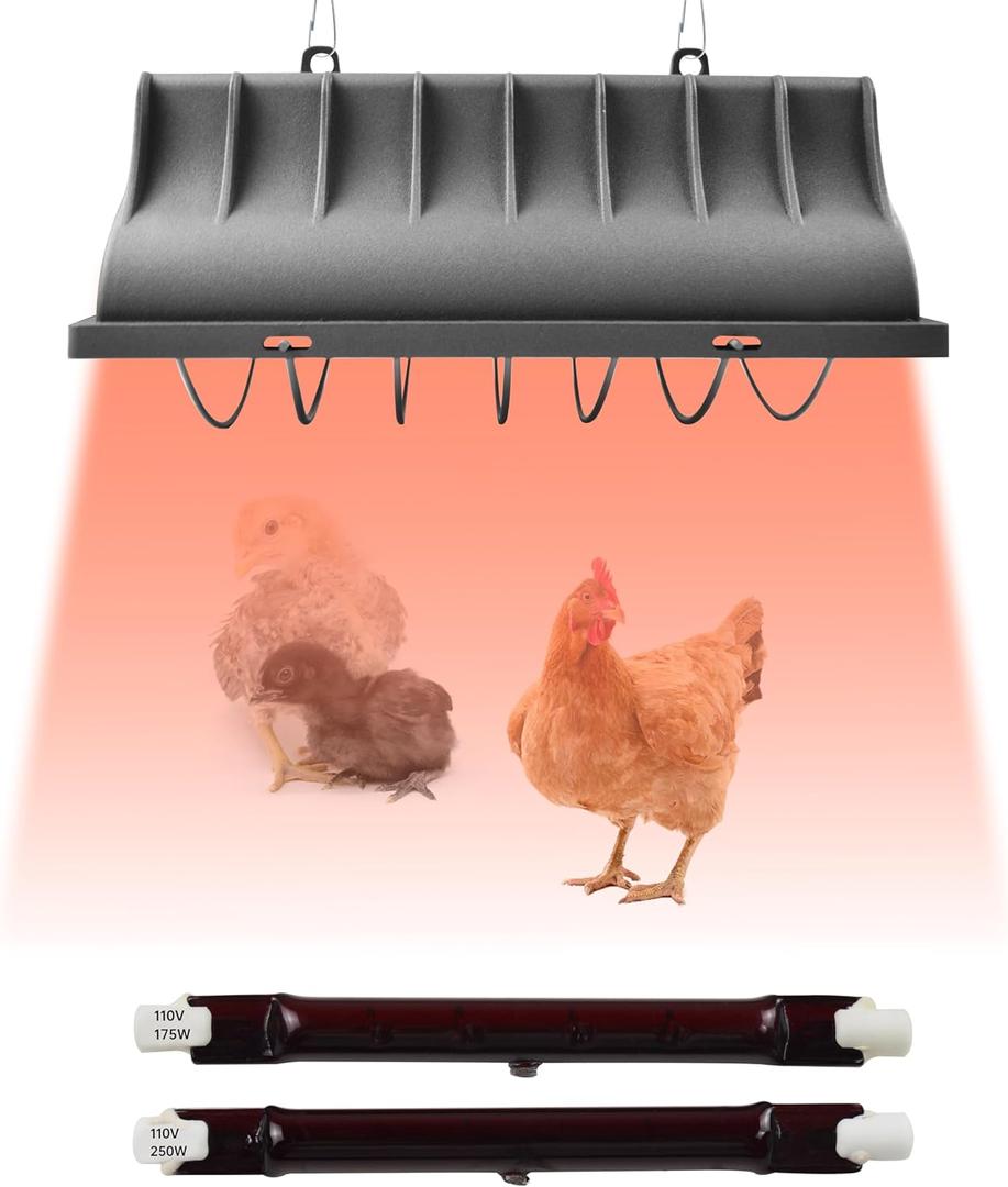 JUSONEY Chicken Coop Heater for Chicks,Brooder Heater with 2pcs Heat Lamp(250W and 175W),Adjustable Temp & Height Chicken Brooder Box Supplies for Chicken Livestock Dogs Sheep Pets