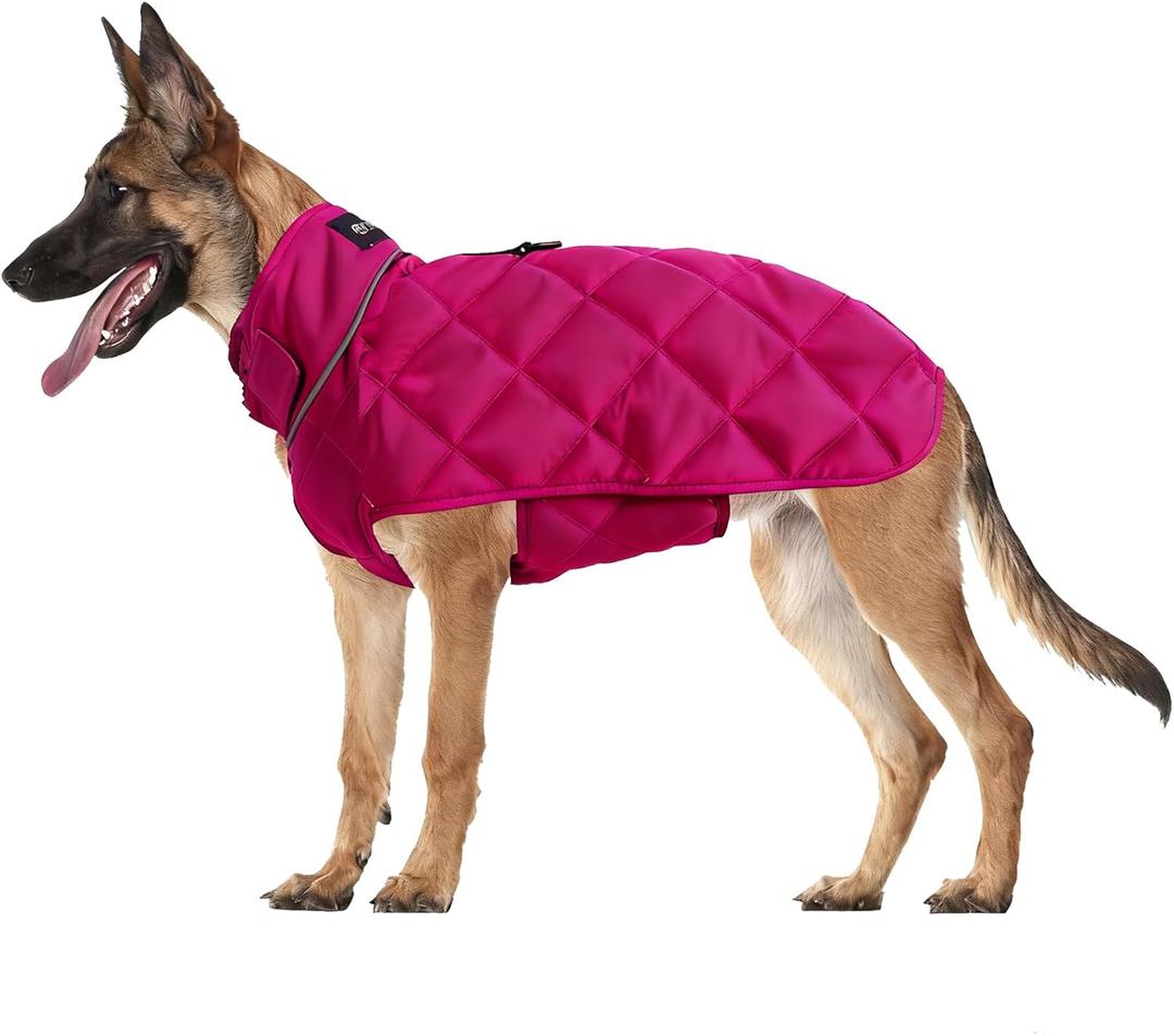 Weighted Dog Vest, Tactical Weight Coat with Beads for Dogs Anxiety- Relieve Stress, Build Muscle & Optimize Health, Premium Heavy Duty Dog Training Jacket for Exercise and Strength (Red, L)