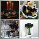 Black Roses Artificial Flowers 50 Pack in Bulk, Fake Roses Flowers Realistic Roses for Halloween Gothic Wedding Home Party Decoration Event Gift (Black)