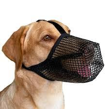 Dog Muzzle Large Black